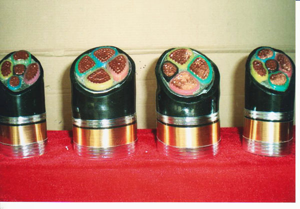 ͨ����Ƥ늾�(xi��n)