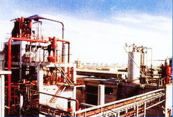 ������˾����